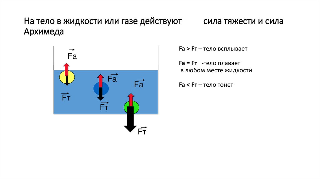 На тело в жидкости или газе действуют сила тяжести и сила Архимеда