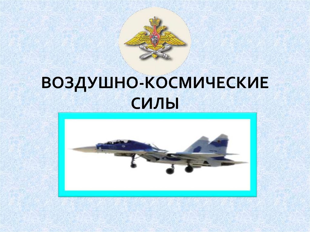 ВОЗДУШНО-КОСМИЧЕСКИЕ СИЛЫ