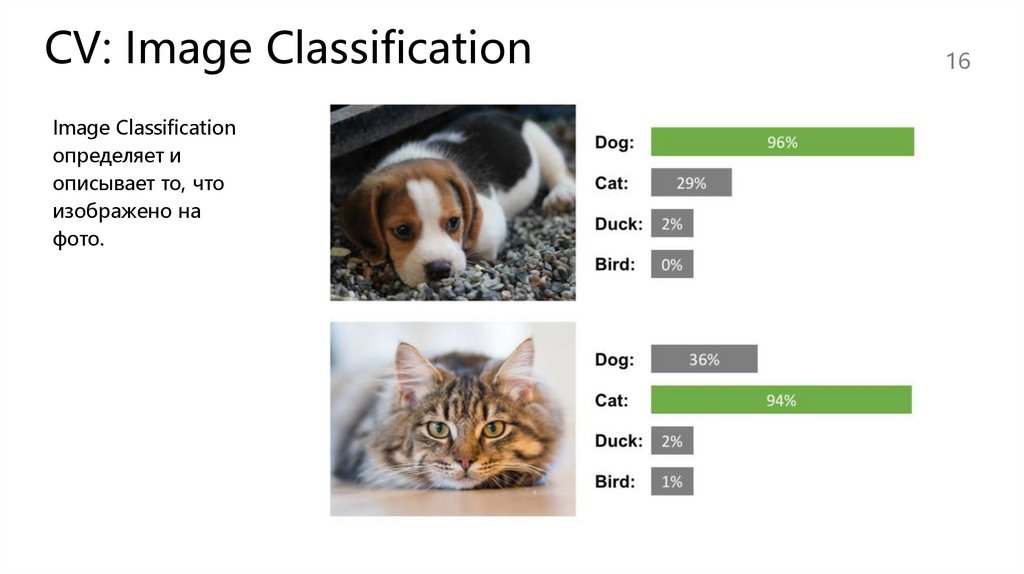 CV: Image Classification