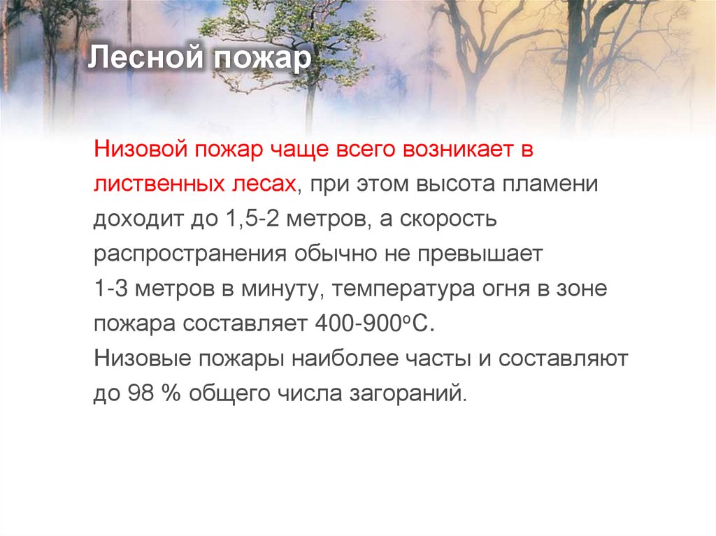 Лесной пожар