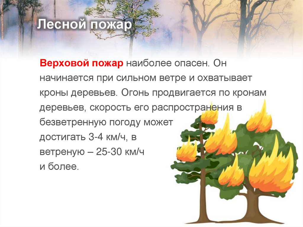 Лесной пожар