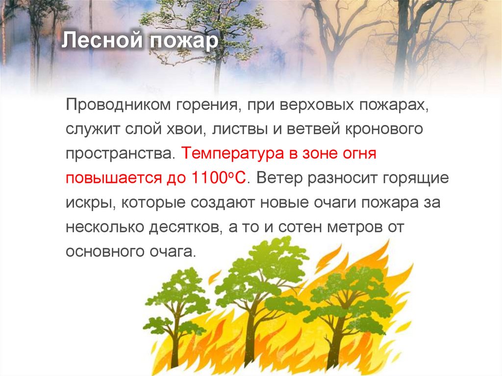 Лесной пожар