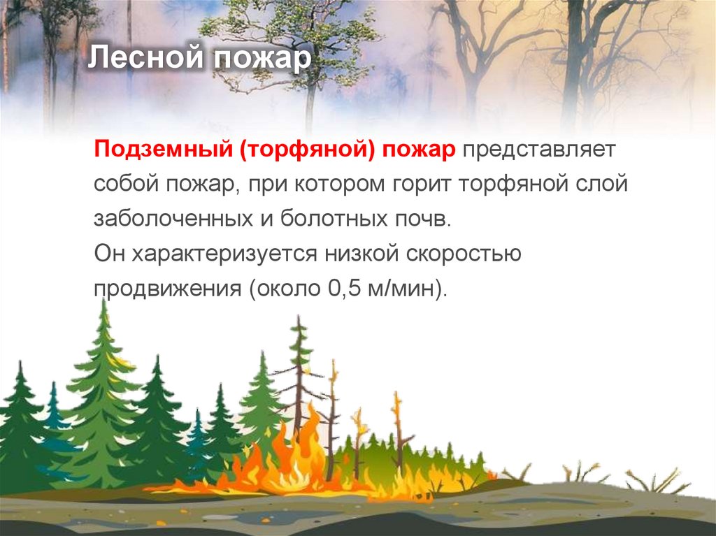 Лесной пожар