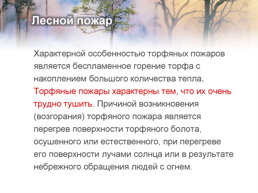 Лесной пожар