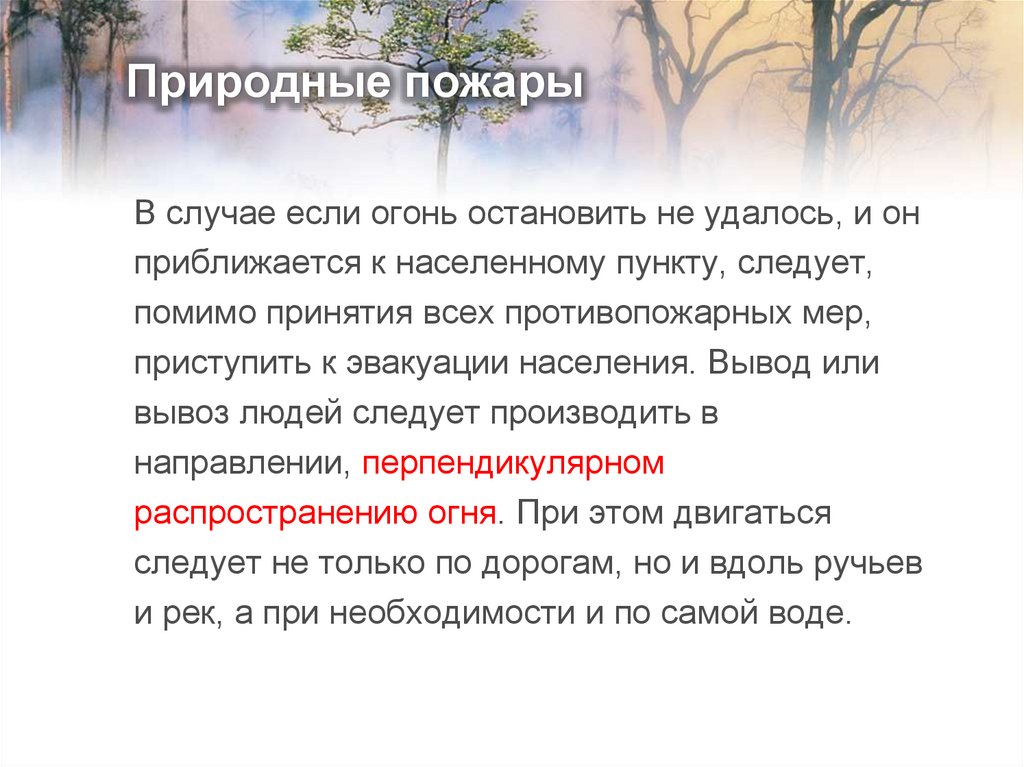 Природные пожары