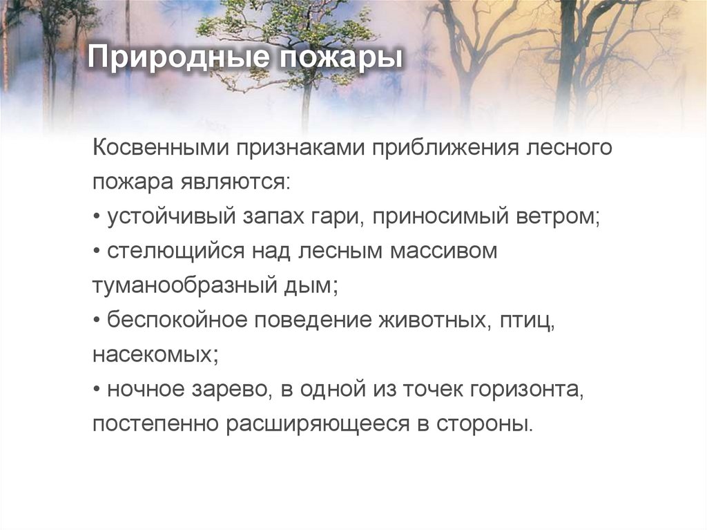 Природные пожары