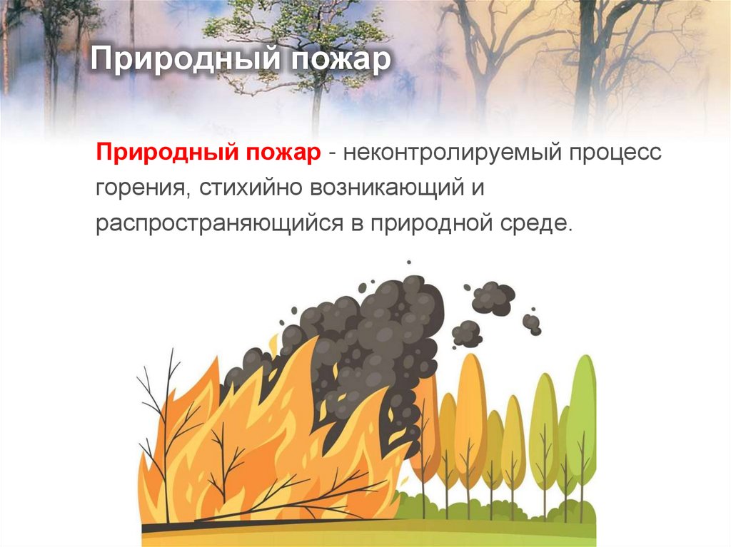 Природный пожар