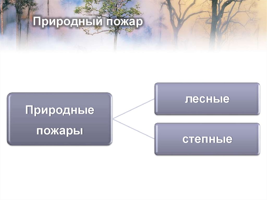 Природный пожар