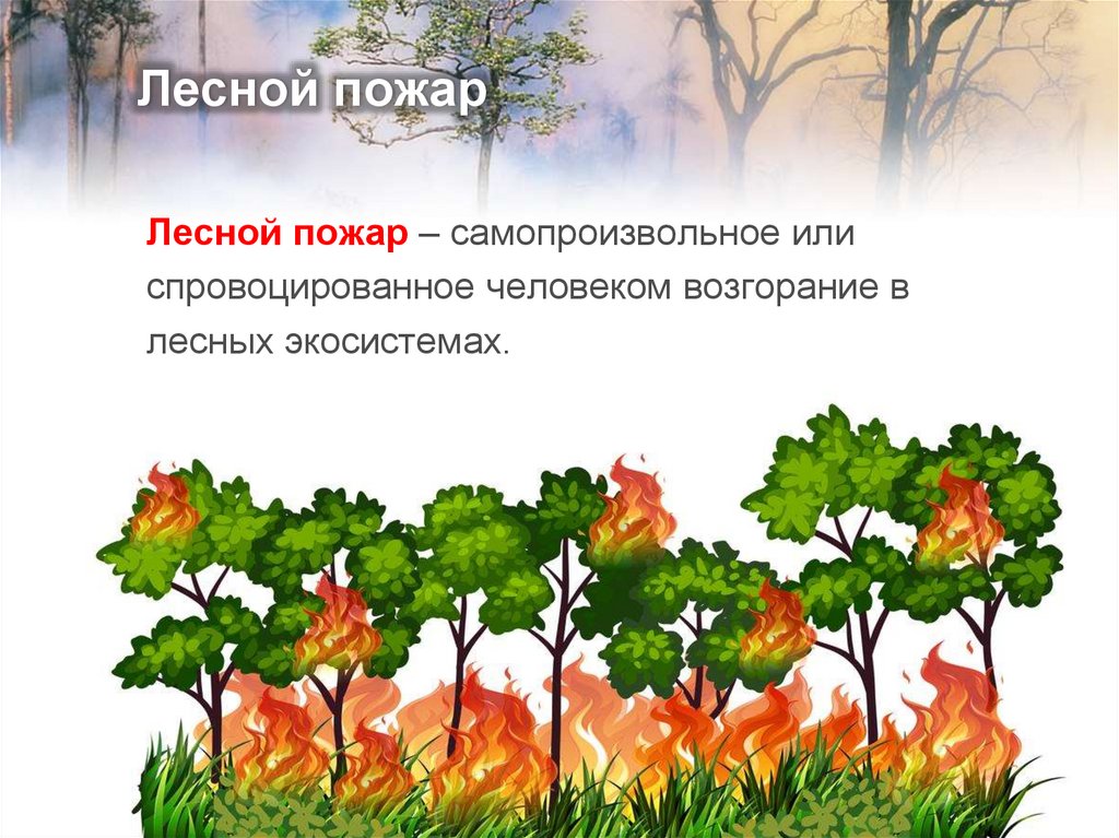 Лесной пожар