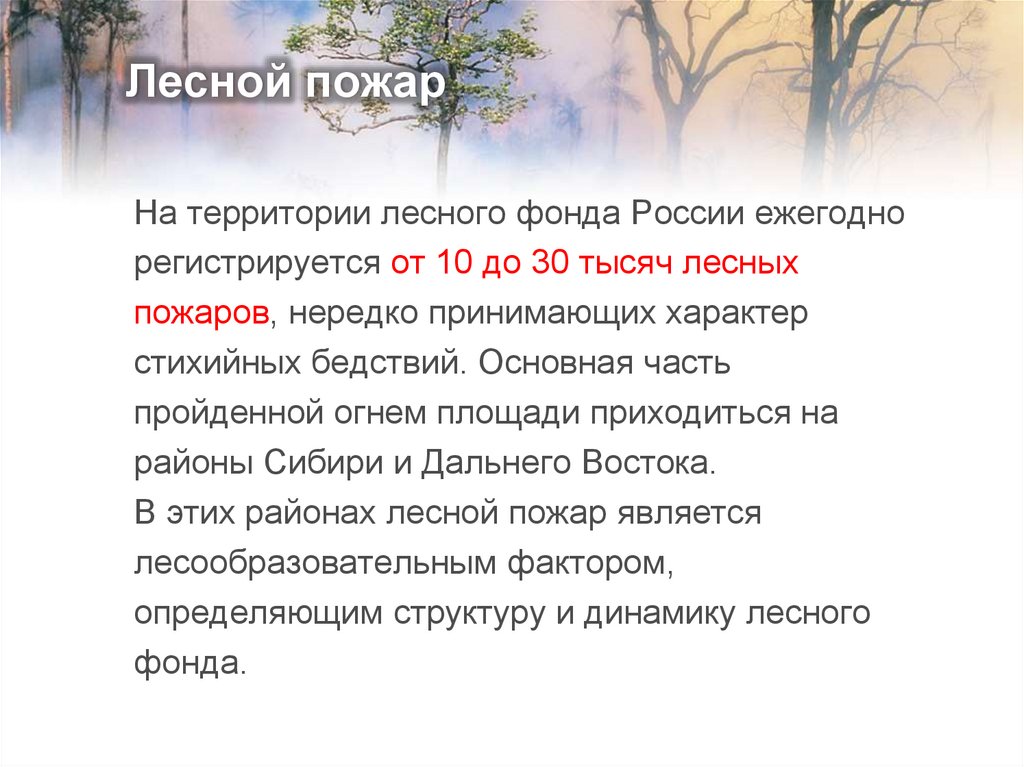 Лесной пожар