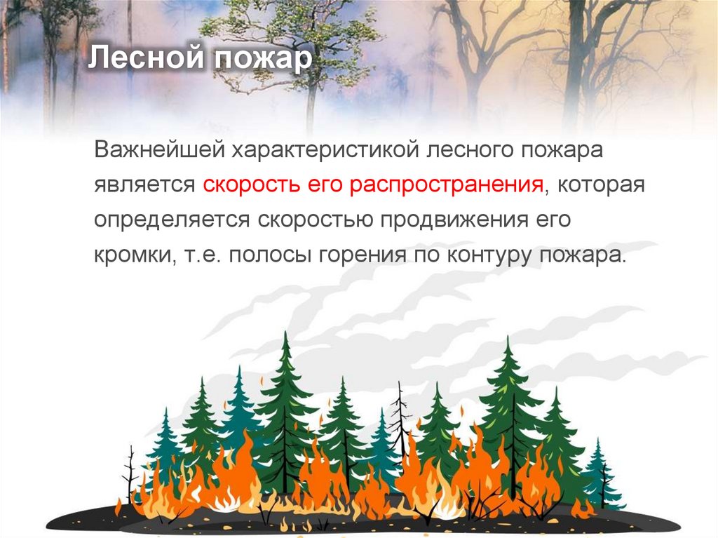 Лесной пожар