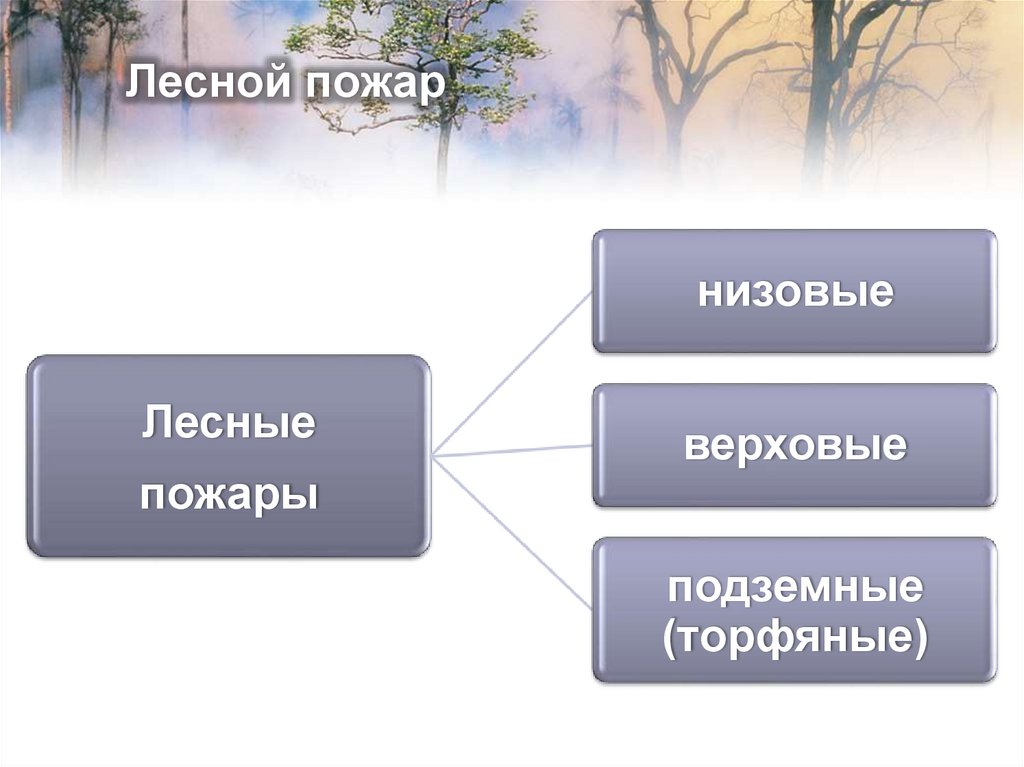 Лесной пожар