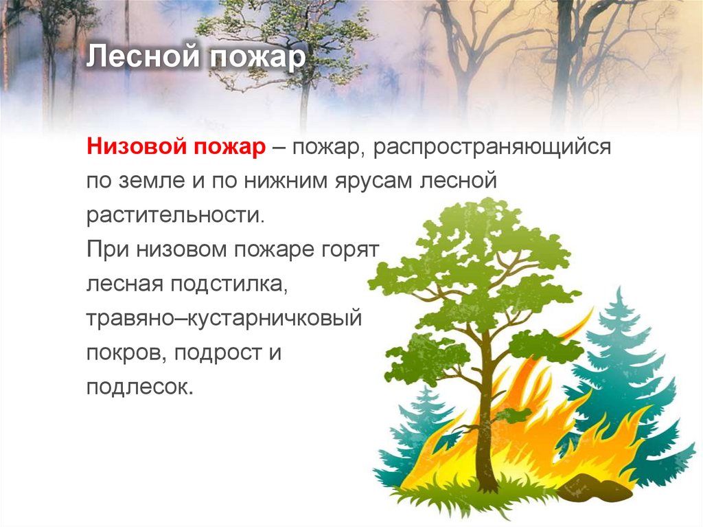 Лесной пожар