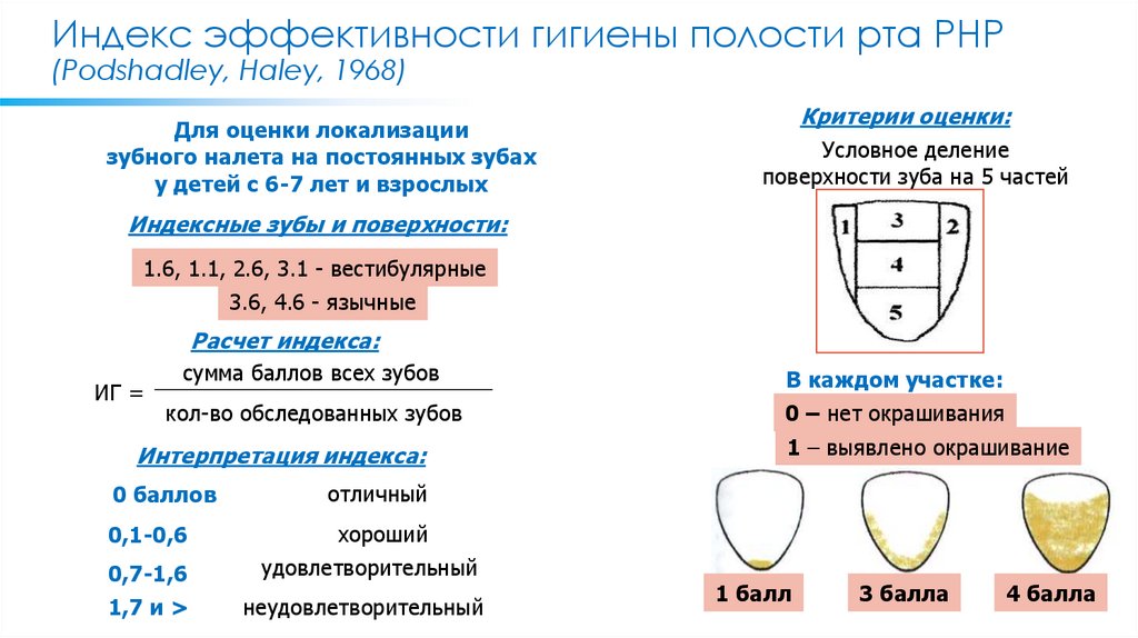 Индекс эффективности гигиены полости рта РНР (Podshadley, Haley, 1968)
