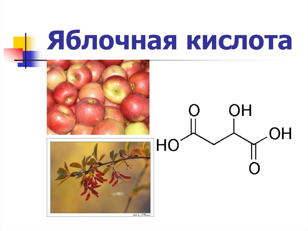 Яблочная кислота