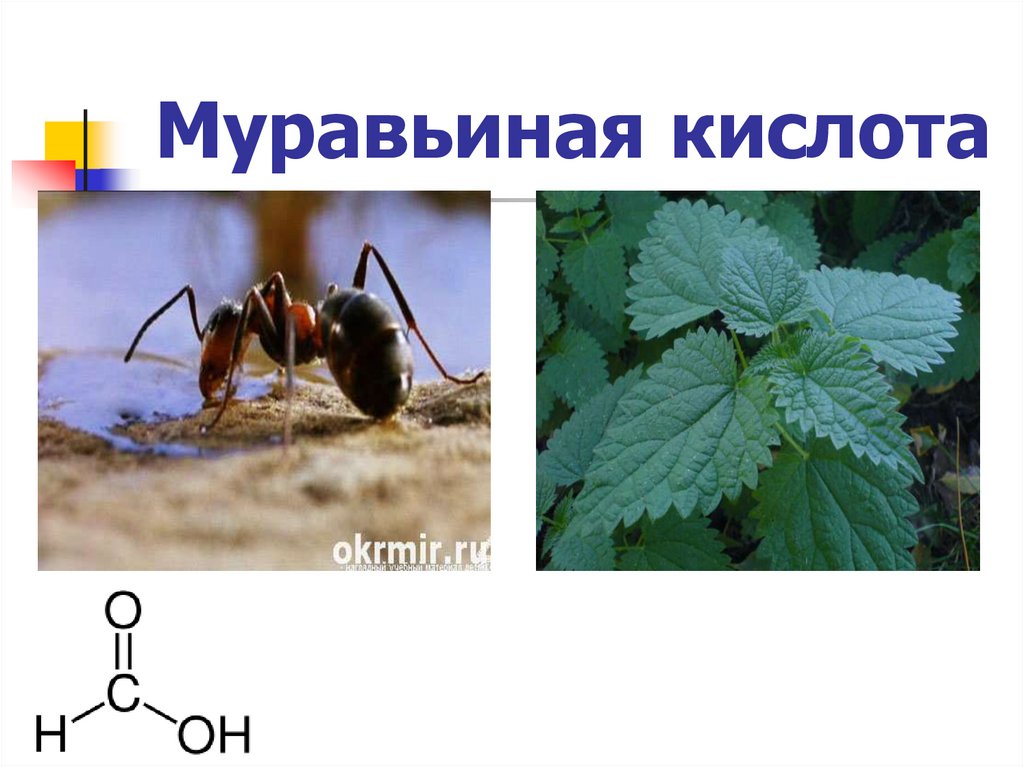 Муравьиная кислота