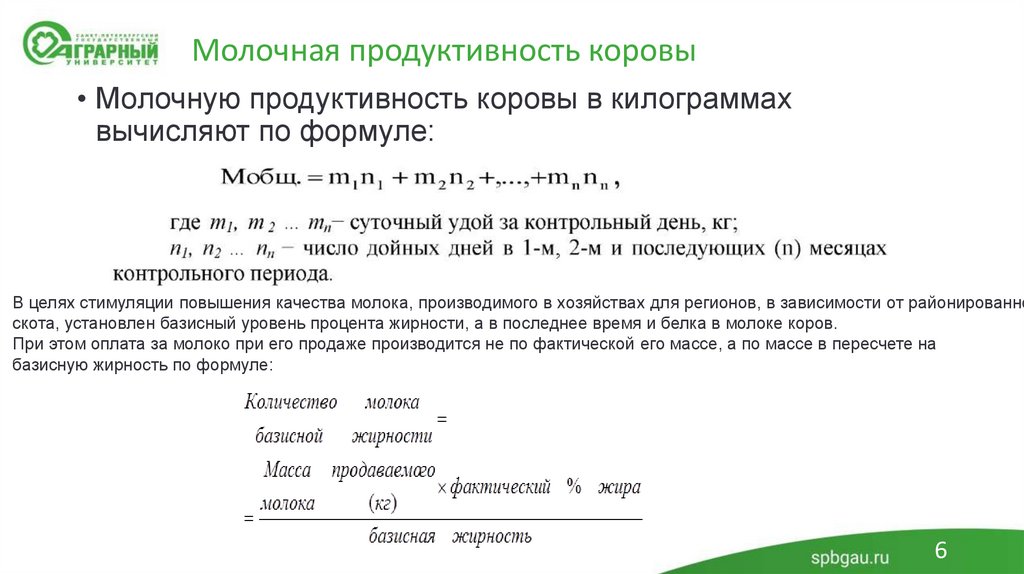 Молочная продуктивность коровы