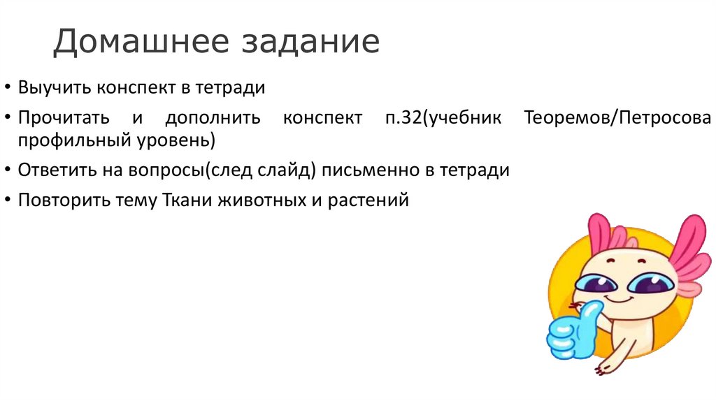 Домашнее задание