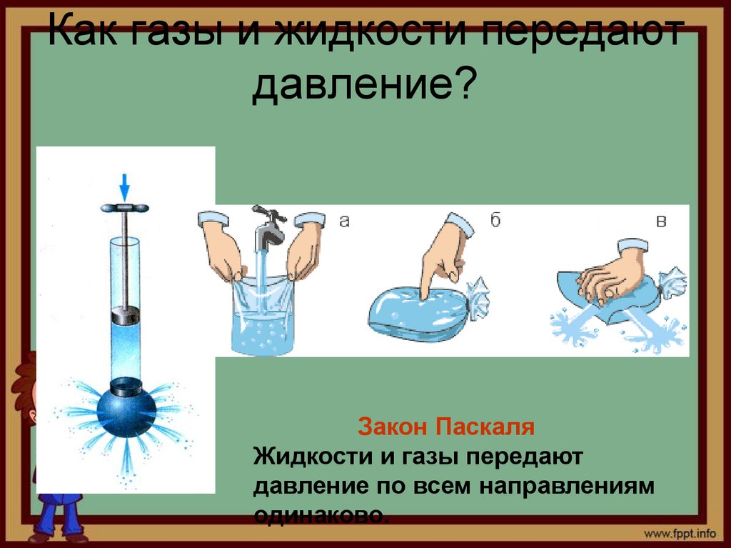 Как газы и жидкости передают давление?