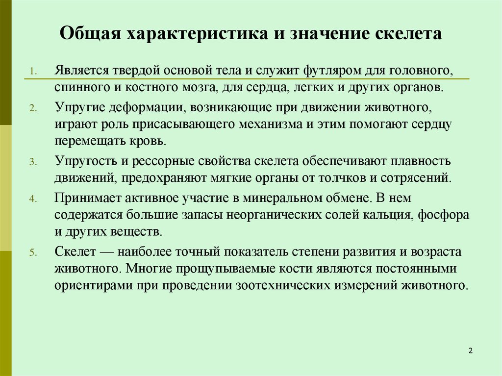 Общая характеристика и значение скелета