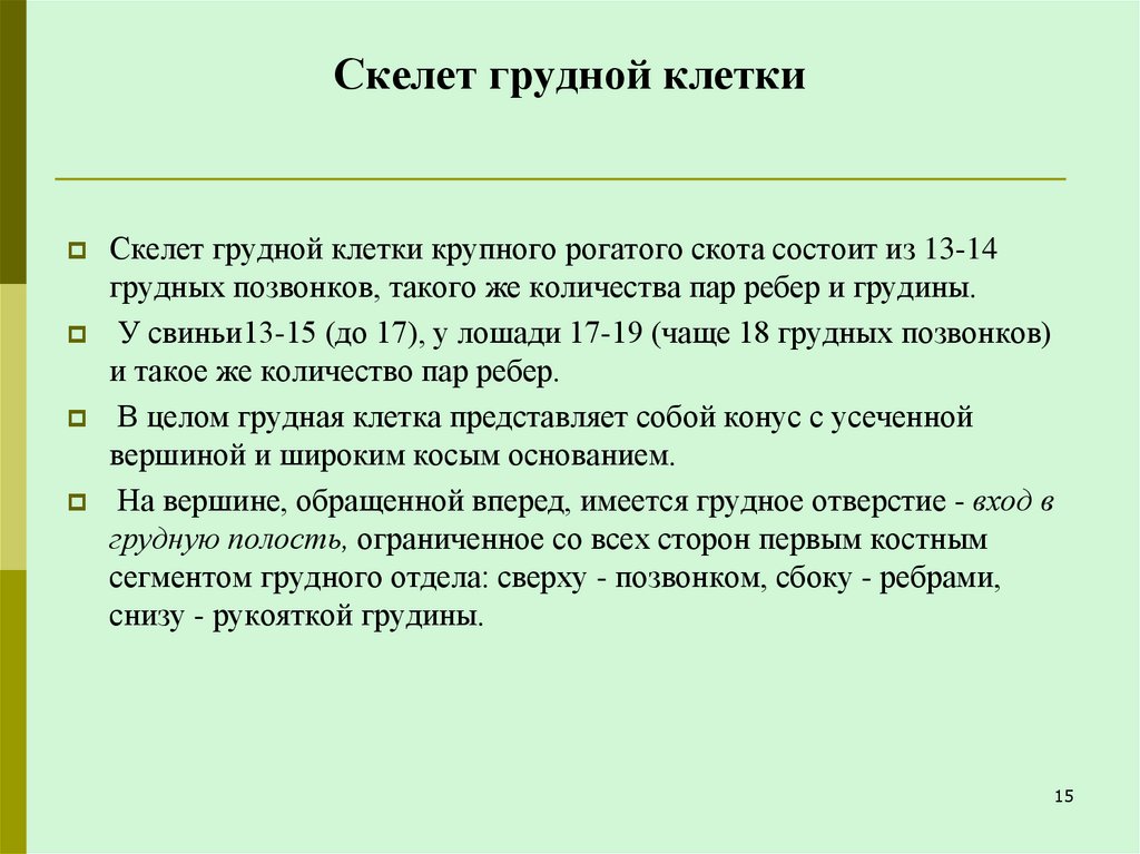 Скелет грудной клетки