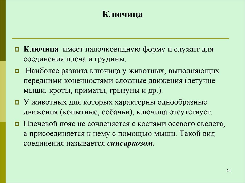 Ключица