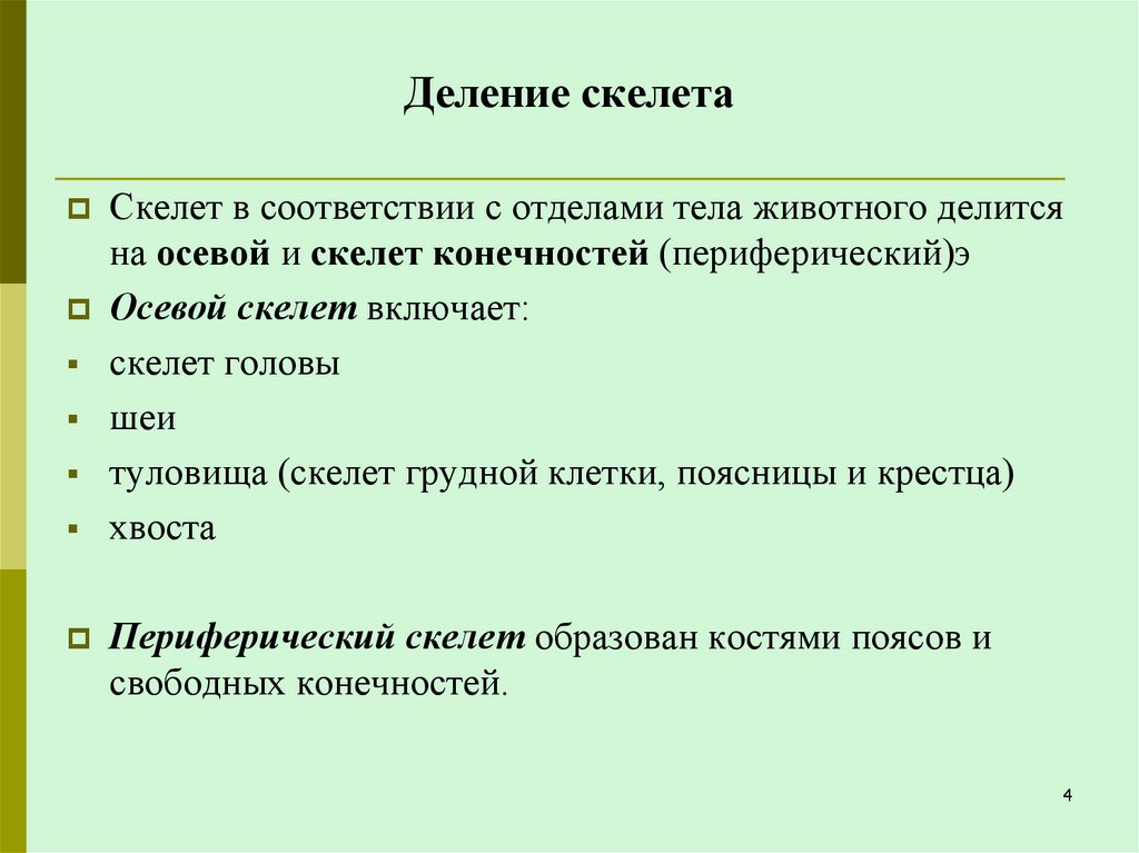 Деление скелета