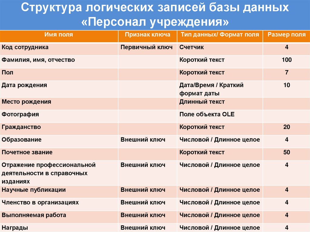 Структура логических записей базы данных «Персонал учреждения»