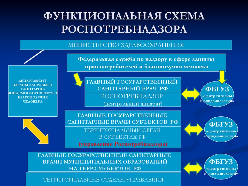 ФУНКЦИОНАЛЬНАЯ СХЕМА РОСПОТРЕБНАДЗОРА