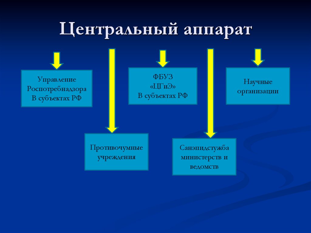 Центральный аппарат