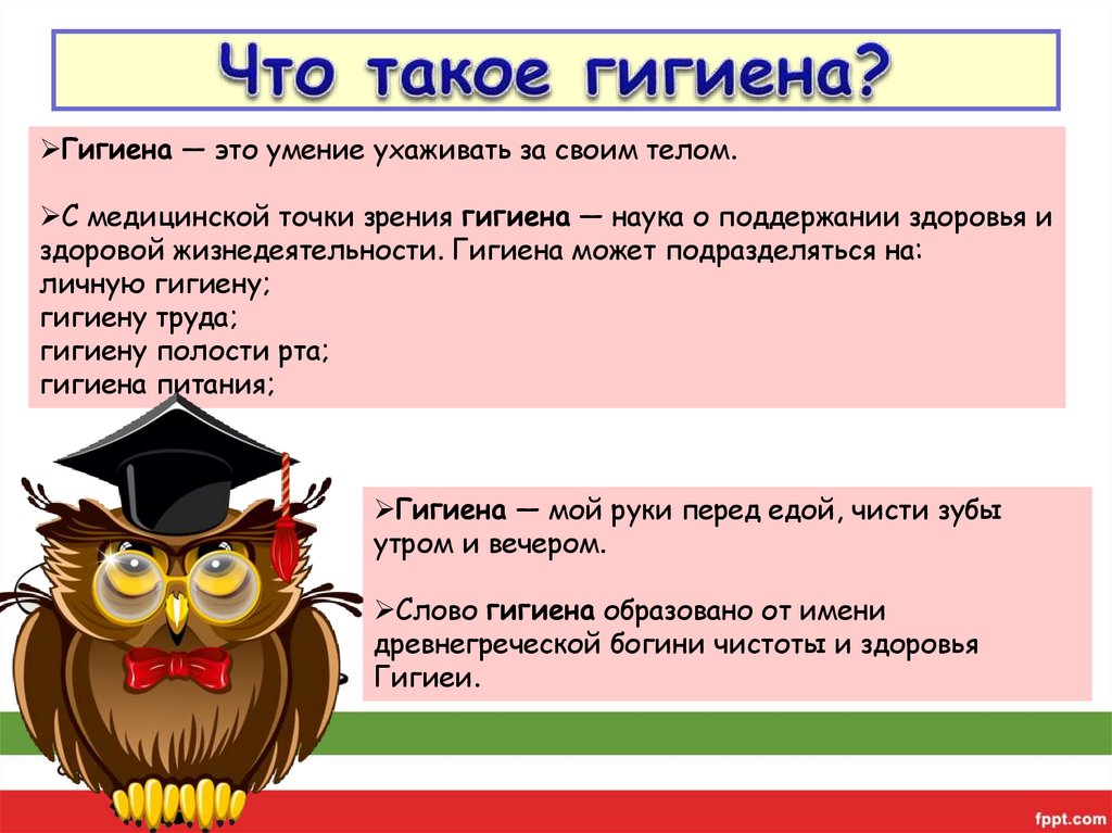 Что такое гигиена?