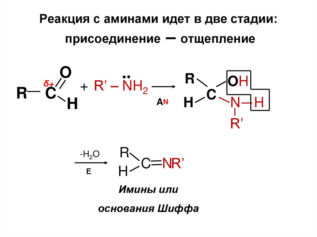 Реакция с аминами идет в две стадии: присоединение – отщепление