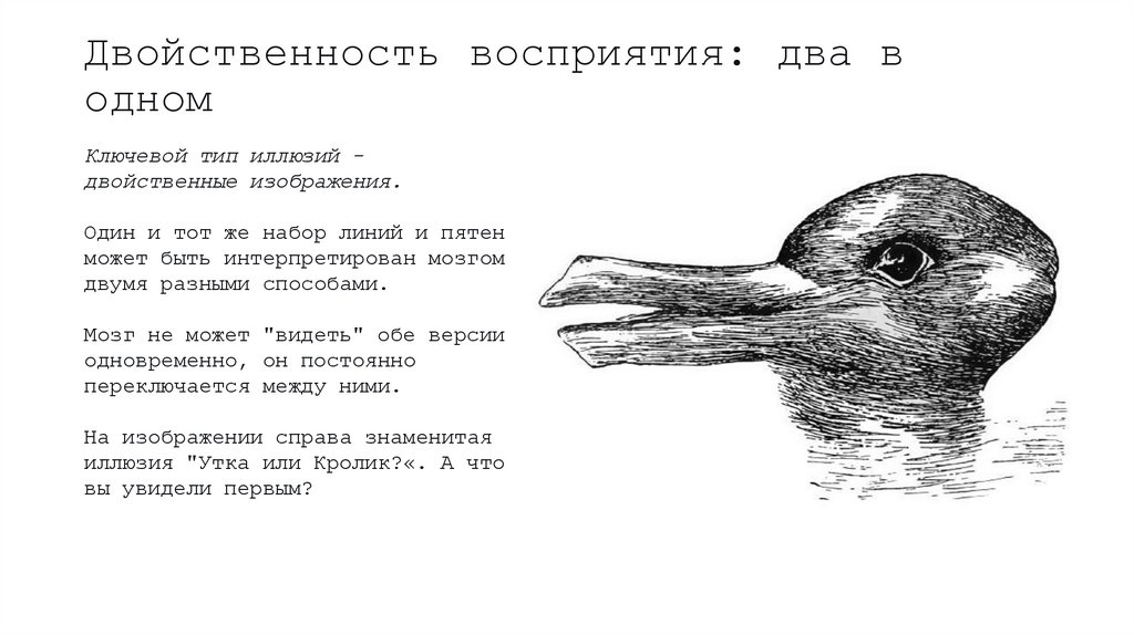 Двойственность восприятия: два в одном