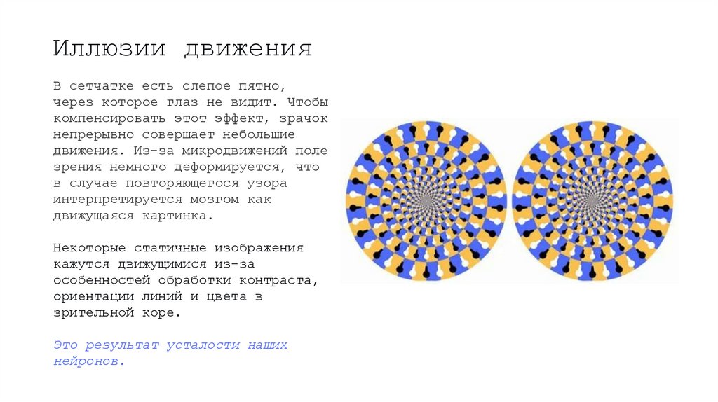 Иллюзии движения