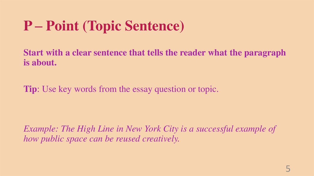 P – Point (Topic Sentence)
