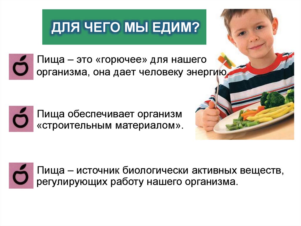 ДЛЯ ЧЕГО МЫ ЕДИМ?