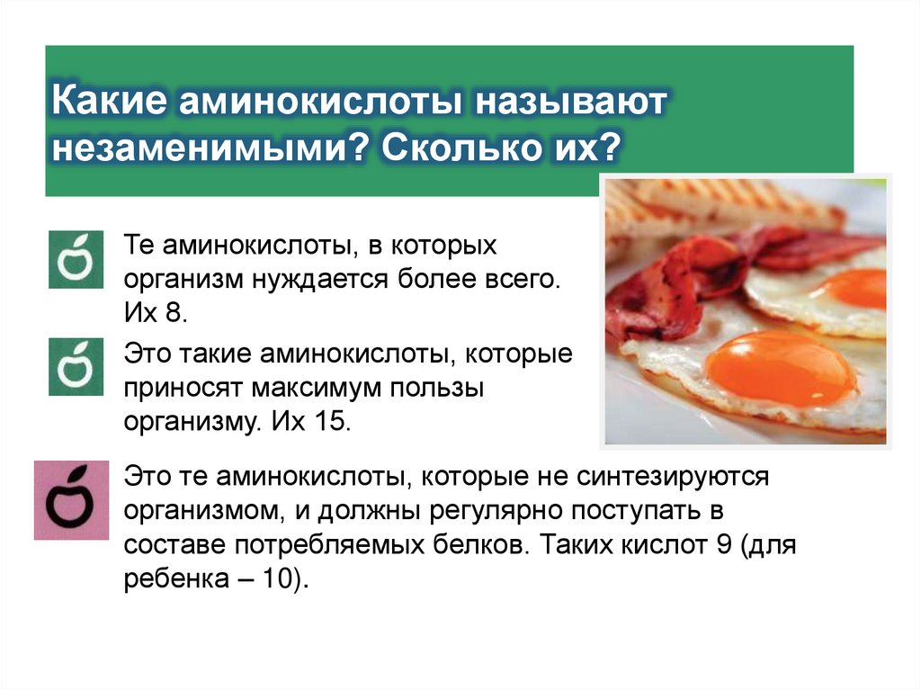 Какие аминокислоты называют незаменимыми? Сколько их?