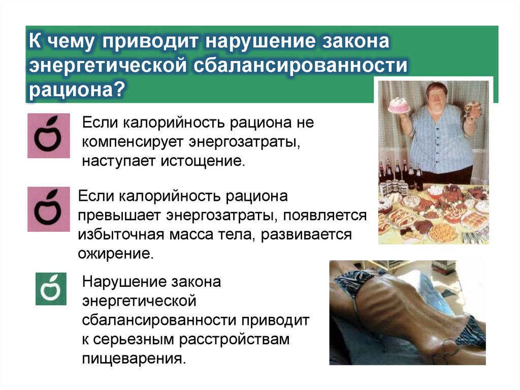 К чему приводит нарушение закона энергетической сбалансированности рациона?