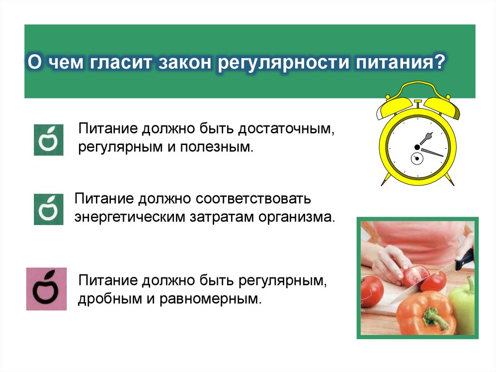 О чем гласит закон регулярности питания?