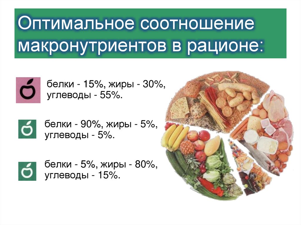 Оптимальное соотношение макронутриентов в рационе: