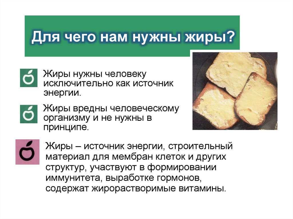 Для чего нам нужны жиры?