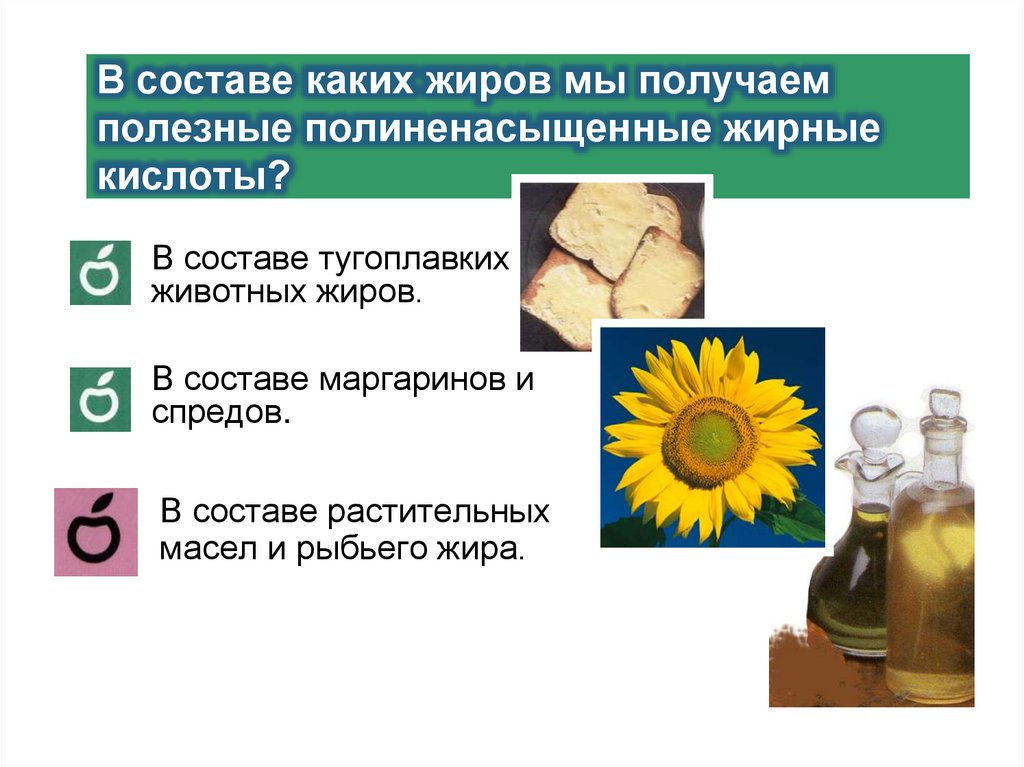 В составе каких жиров мы получаем полезные полиненасыщенные жирные кислоты?