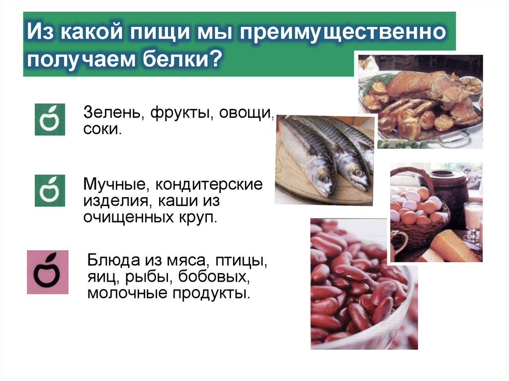 Из какой пищи мы преимущественно получаем белки?