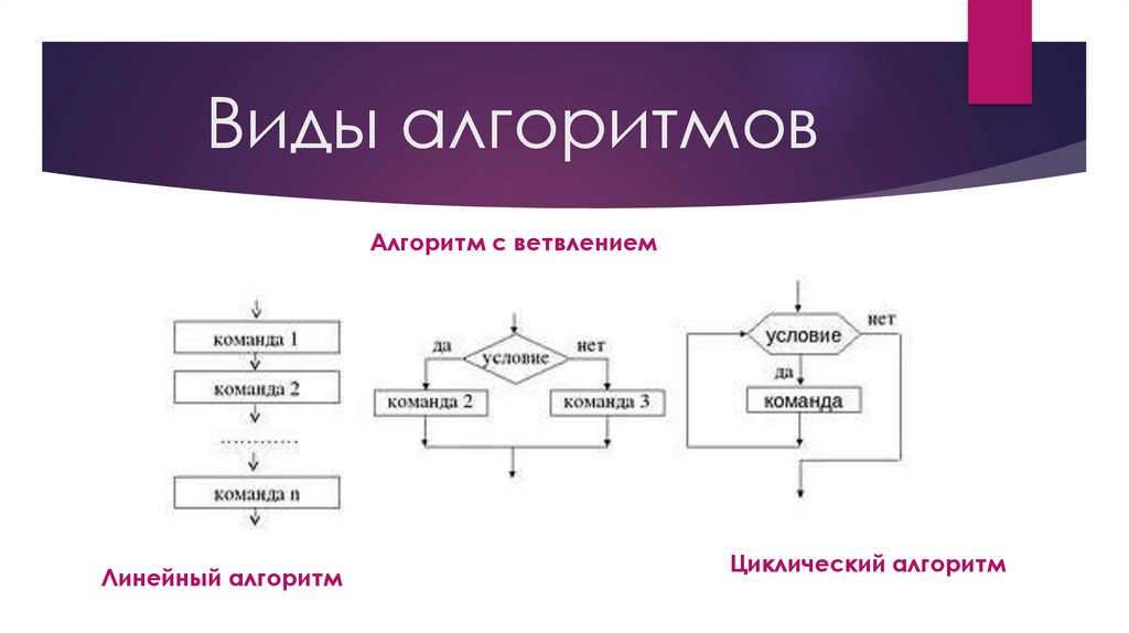 Виды алгоритмов