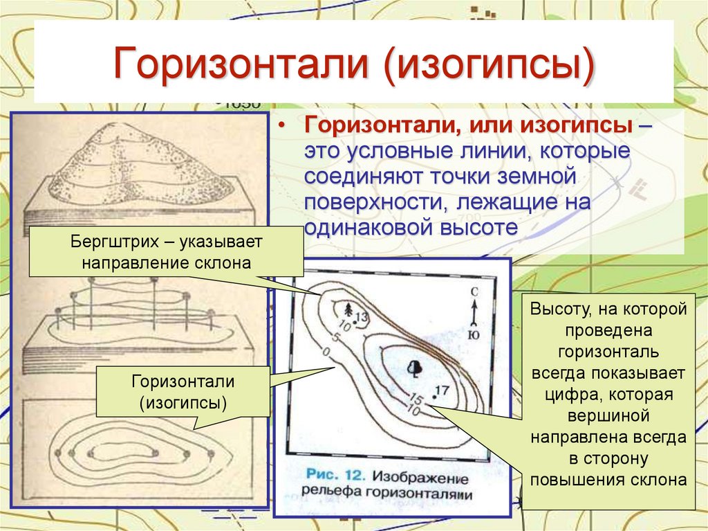 Горизонтали (изогипсы)