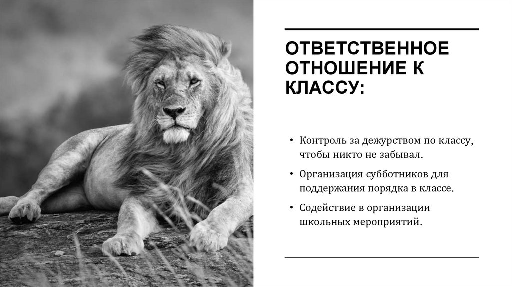 Ответственное отношение к классу: