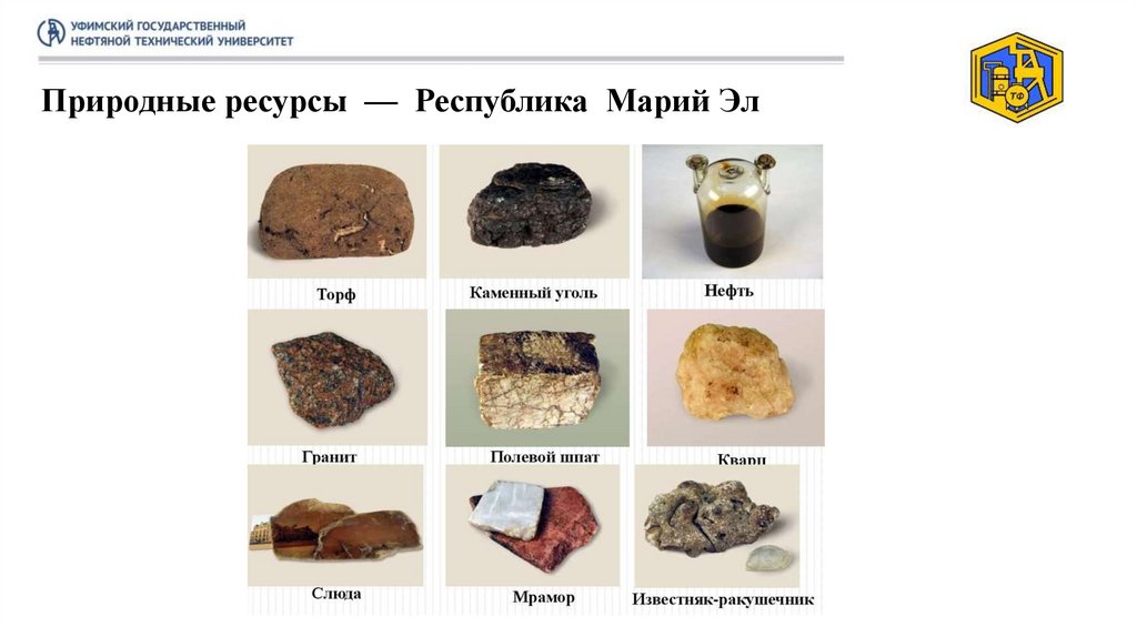 Природные ресурсы — Республика Марий Эл