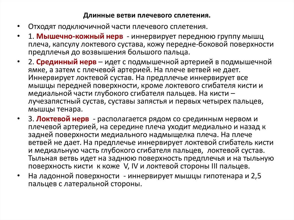 Длинные ветви плечевого сплетения.