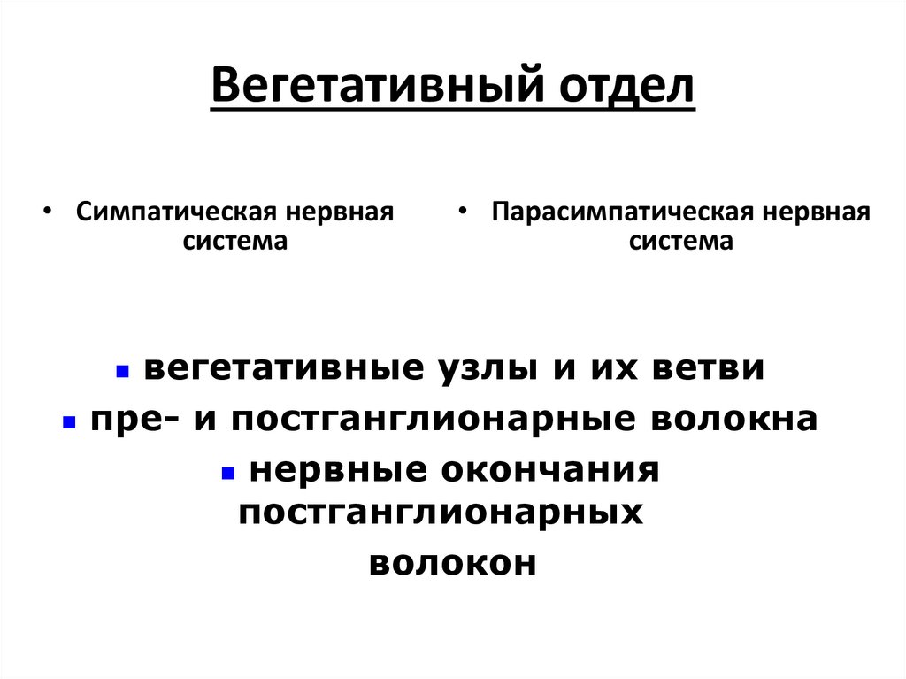 Вегетативный отдел