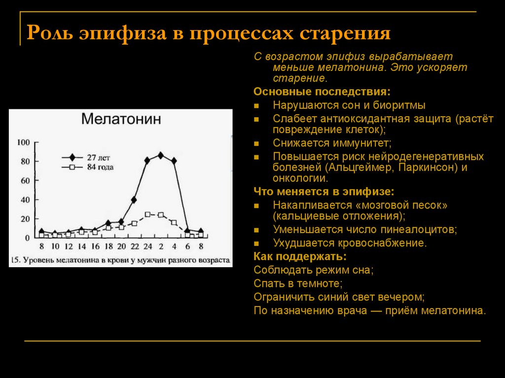 Роль эпифиза в процессах старения